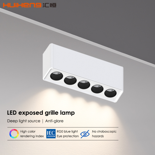 10W 20W Alu Double Head LED Grille Downlight Lamp for Project