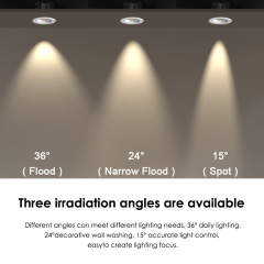 LED Spot Light 10 Degrees Beam Angle Recessed Spotlight Fitting for Precise Indoor Lighting and Display Use