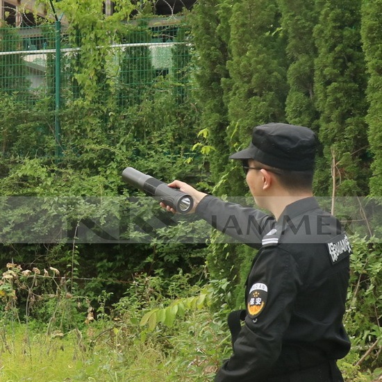 Antidrone Flashlight