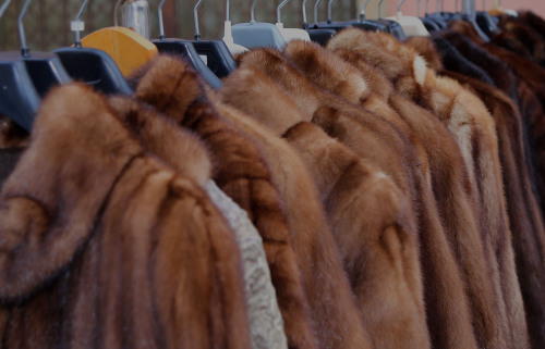 Fur Clothing