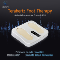 Terahertz Foot Therapy Pemf Foot Massager