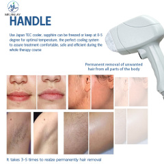 DL203 Painless 808 Laser Permanent Hair Removal Device
