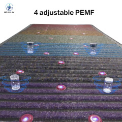 Health care infrared pemf mat photon therapy Magnetic therapy pad