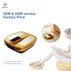 Terra P90 Terahertz PEMF Therapy Bio-Resonance Therapy Foot Massage Device