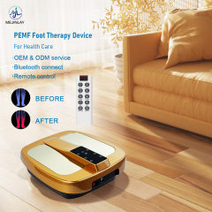 Terra P90 Terahertz PEMF Therapy Bio-Resonance Therapy Foot Massage Device