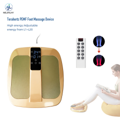 Terra P90 Terahertz PEMF Therapy Bio-Resonance Therapy Foot Massage Device