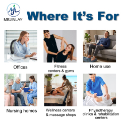 Terahertz PEMF + EMS 2 in 1 Foot and Body Therapy Device