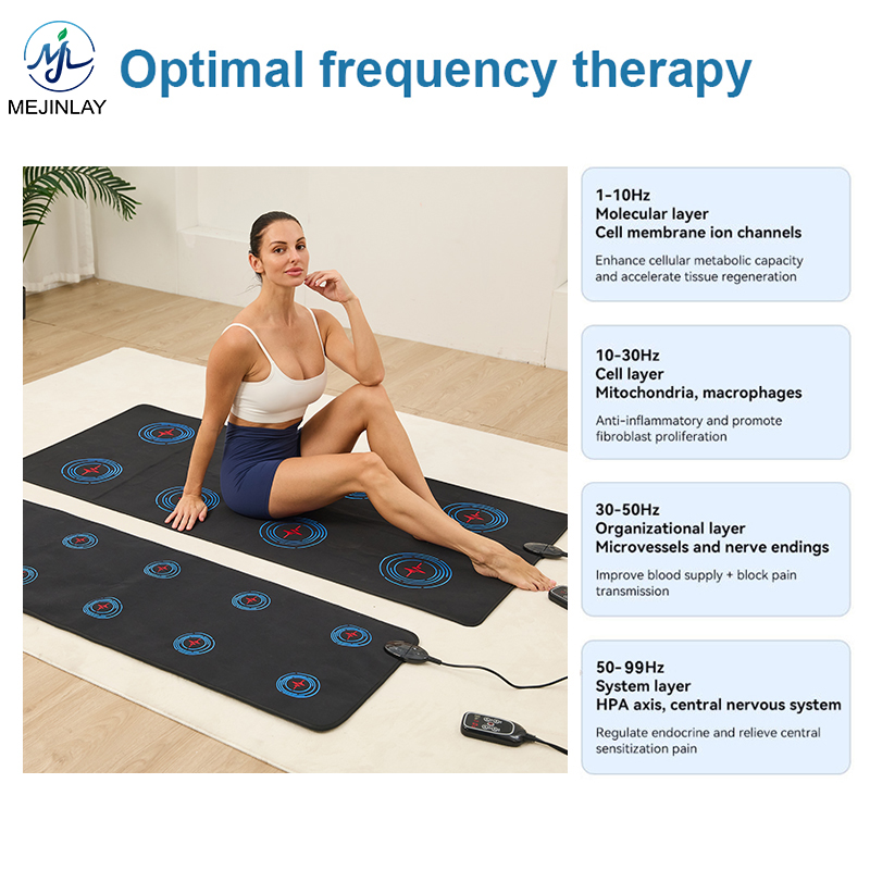 2026 PEMF Therapy Mat Pulsed Electromagnetic Field Healing Mat for Pain Relief Body Relaxation Wellness Use