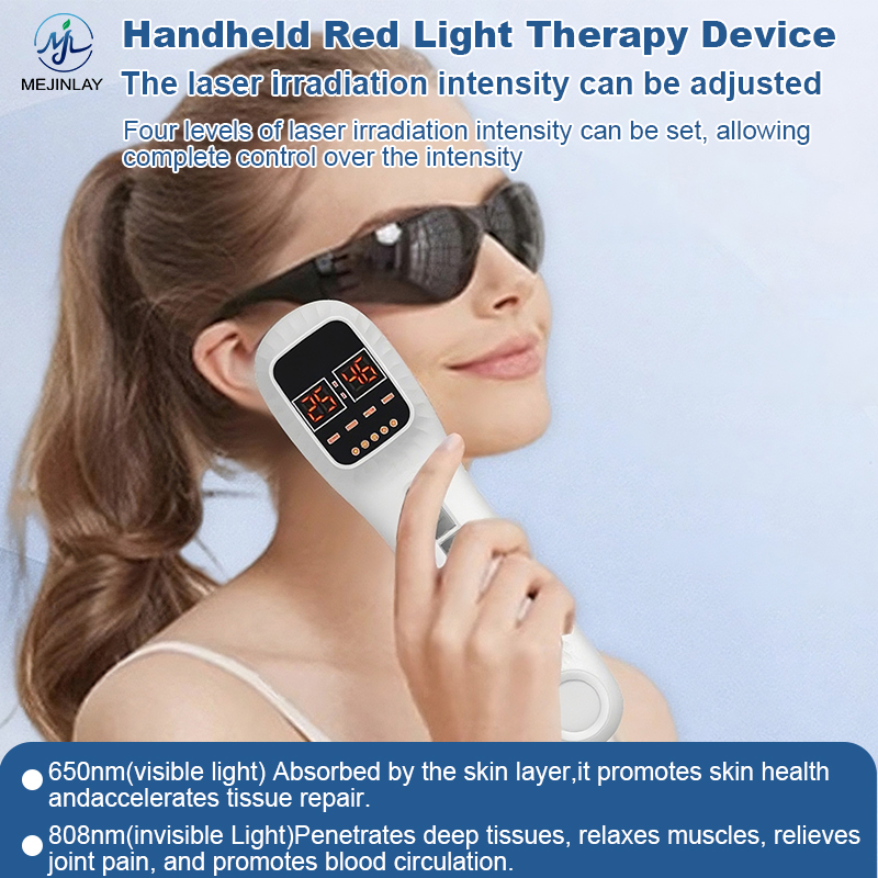 Handheld Red Light Therapy Device with 19 LEDs & LCD Timer for Pain Relief & Skin Rejuvenation