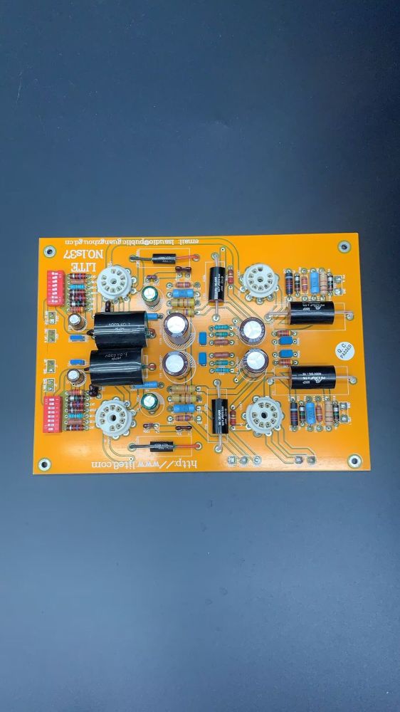 Finsihed LS37 Tube Phono Amplifier MM MC Dual Input And Amp Board without tubes