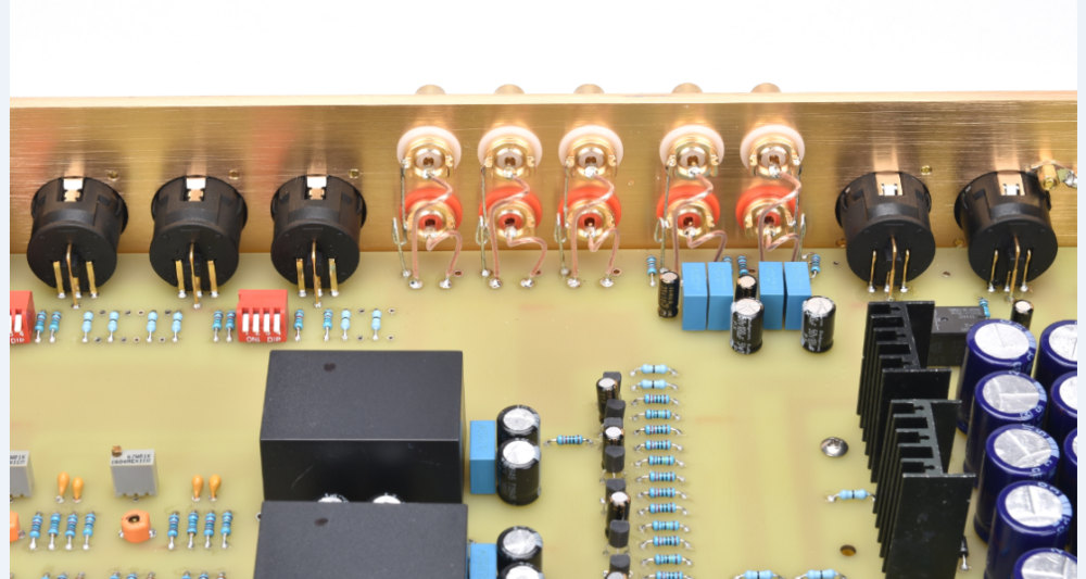 Latest clone Switzerland FM255MKII FM255 Hi-End preamplifier hifi Power amplifier Audio dedicated