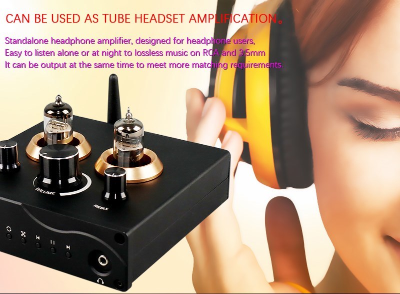 F5 Tube Preamplifier HiFi Bluetooth 5.0 Preamp Lossless Player Support USB TF Card APP Remote Control FM Radio