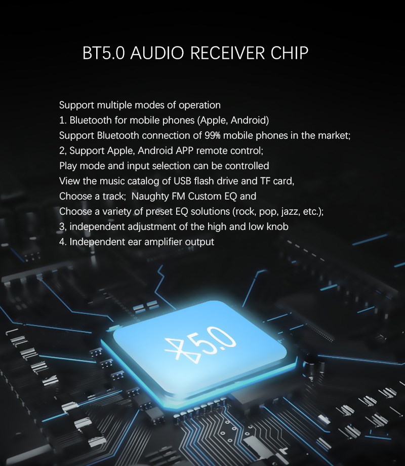 F5 Tube Preamplifier HiFi Bluetooth 5.0 Preamp Lossless Player Support USB TF Card APP Remote Control FM Radio