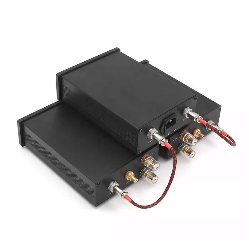 300W+300W TPA3255 hifi Class D Split Type Digital Power Amplifier With XLR Or RCA Input