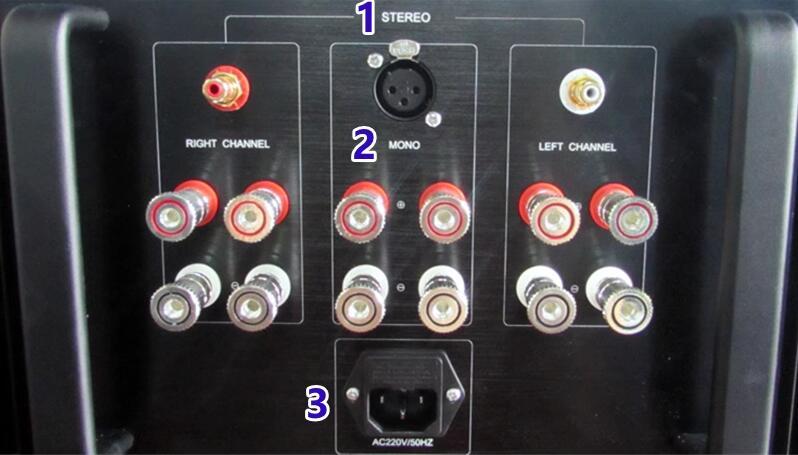 New Finished X160+ 100W Pure class A Balanced mono power amplifier with XLR input