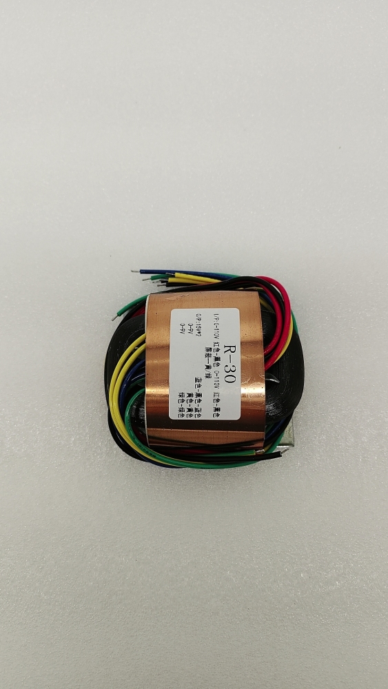 40W R30 R Type Copper sheath is effective against interference transformer