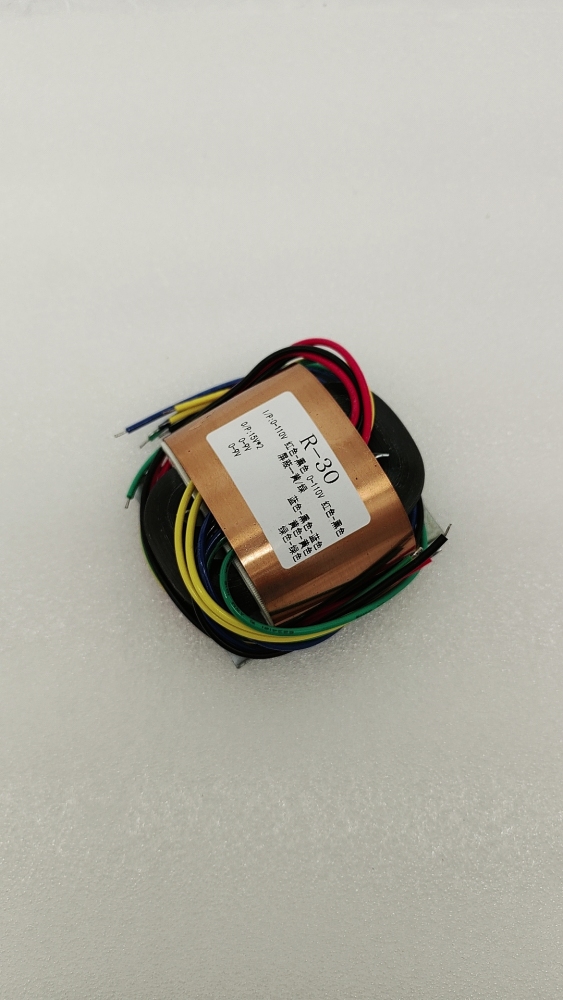 40W R30 R Type Copper sheath is effective against interference transformer