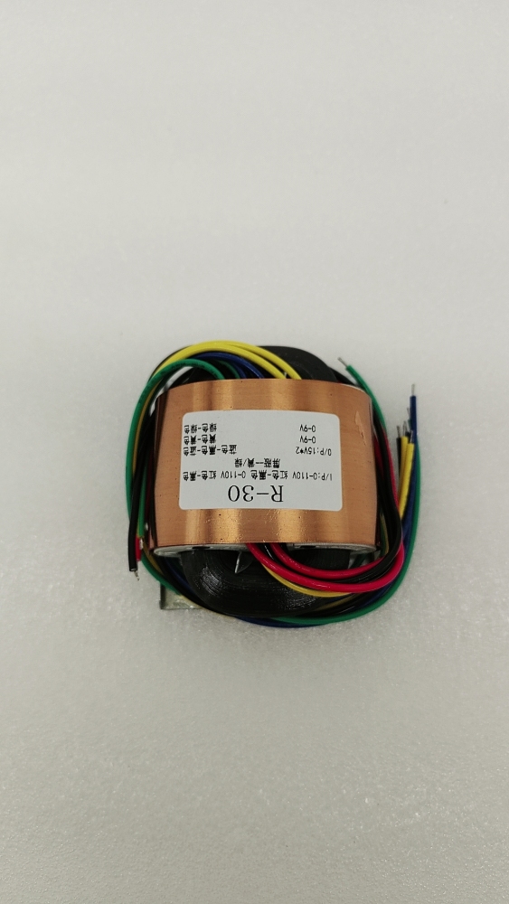 40W R30 R Type Copper sheath is effective against interference transformer