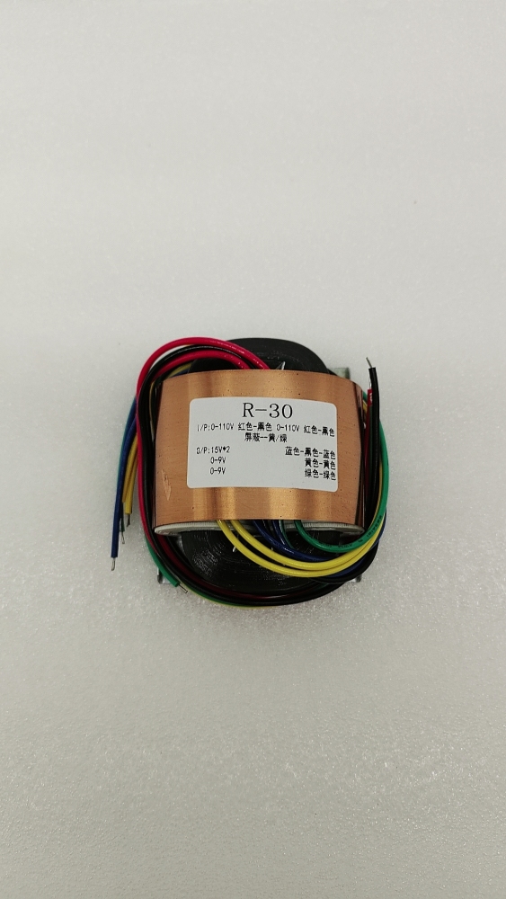 40W R30 R Type Copper sheath is effective against interference transformer