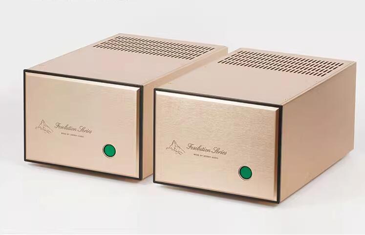One pair engraving FM111 circuit HIFI Mono split type high-power 360W amplifier