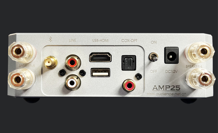 Upgraded Version AMP25 HiFi Bluetooth 5.0 Audio Power Amplifier Stereo Headphone Amp MOSFET 100W x2/With Remote Control