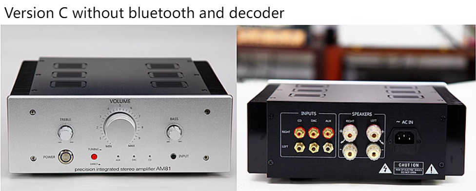 AM81 Dual differential input HiFi metal encapsulated transistor high-power class AB 145W*2 stereo amplifier