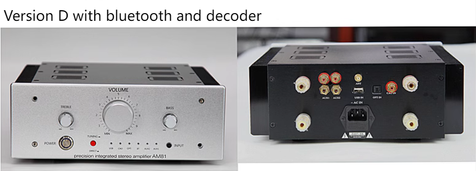 AM81 Dual differential input HiFi metal encapsulated transistor high-power class AB 145W*2 stereo amplifier