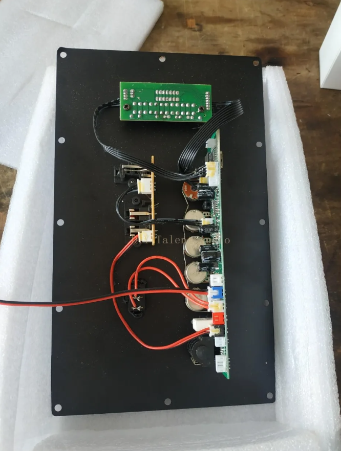 12 inch square dance audio main board 12V lithium battery Bluetooth pull-rod speaker Mobile audio system power amplifier board