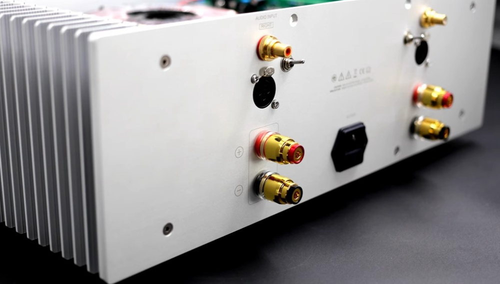 Master D9Pro Clone Dartzeel NHB-108 circuit Hi-End 150W+150W Stereo Amplifier With XLR Input