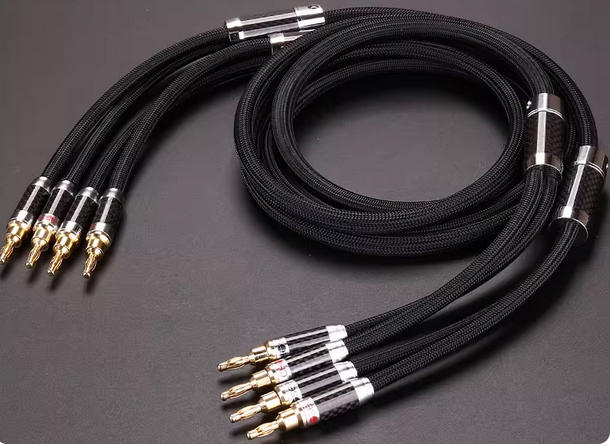 Choseal 6N OCC Audiophile HIFI Speaker Cable 24K gold-plated banana plug Top level Speaker Cable 25MMx2.5M LA-5101