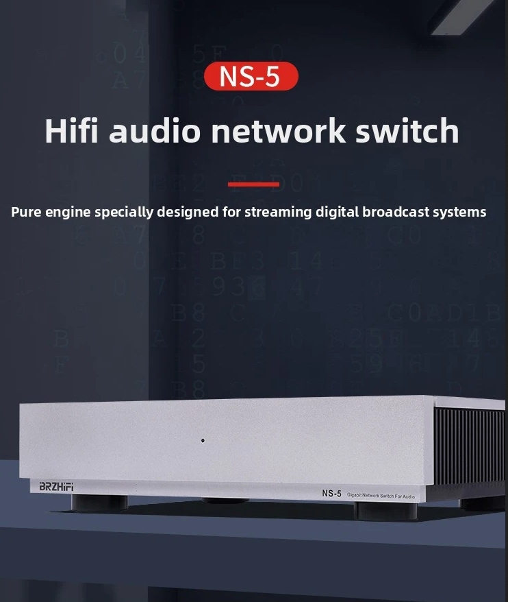 NS-5 HIFI Audio Fever Gigabit Switch with Built in Wire OCXO Constant Temperature Crystal Clock NS-5 Optoelectronic Isolation