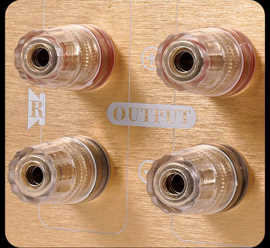 Beautiful A100SE Bluetooth 5.3 HIFI Audiophile 60W+60W stereo Home desktop power amplifier Electronic tube amplifier sound quality