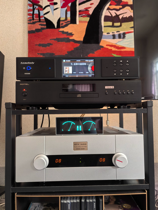 Goldmund Telos590 Power Amplifier Combined Fever Power Player 250W*2 With Remote Control ES9038Q2M 384K DSD512
