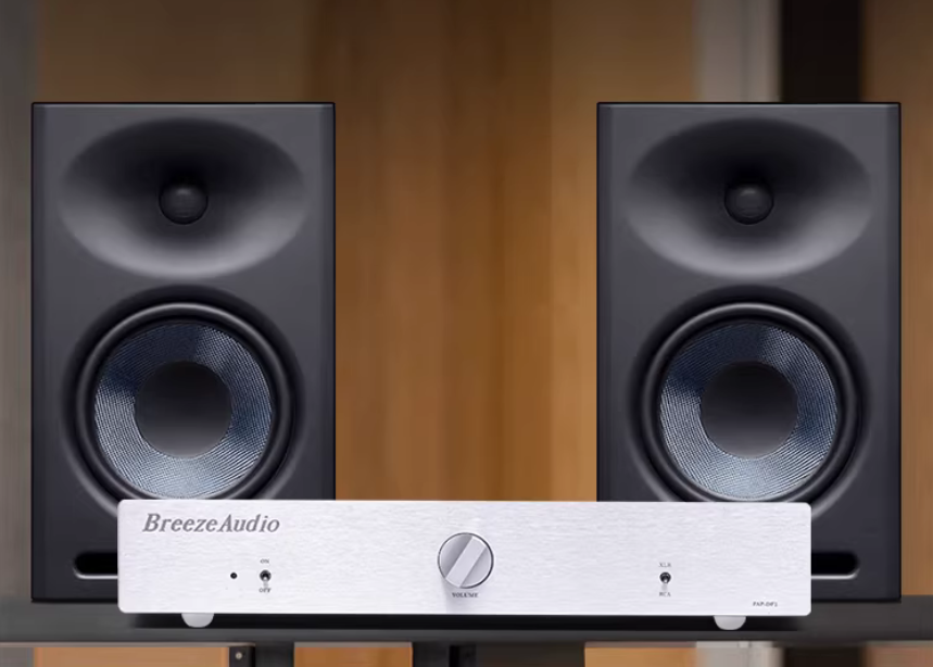 BRZHIFI Full Balanced Preamplifier Berlin 877 Flagship Pre-Line PreAmplifier  High-end Preamp