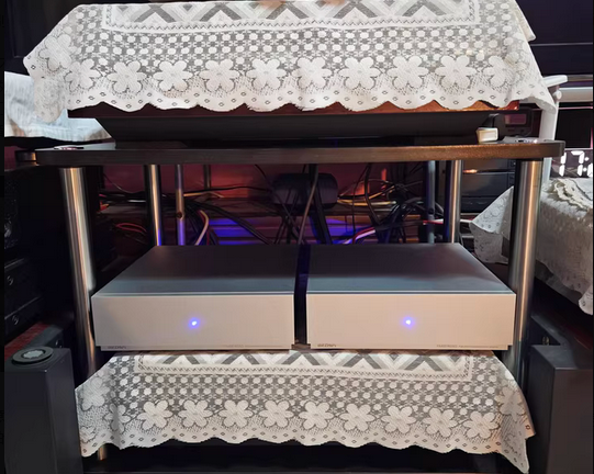 1 pair（2 pcs ）Finished PA400 Mono class D HiFi power amplifier 450W purifi HYPEX Ultra low distortion
