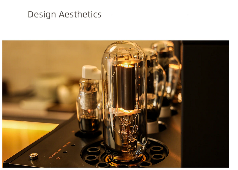 LINE MAGNETIC LM-219 IA PLUS  class A single end vacuum tube integrated amplifier 300B push 845