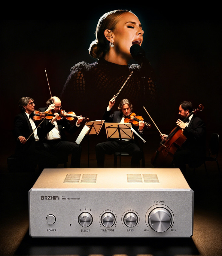 Weiliang Audio F2 Tone Preamplifier gold-sealed OPA 3 input 2 output preamplifier good sound