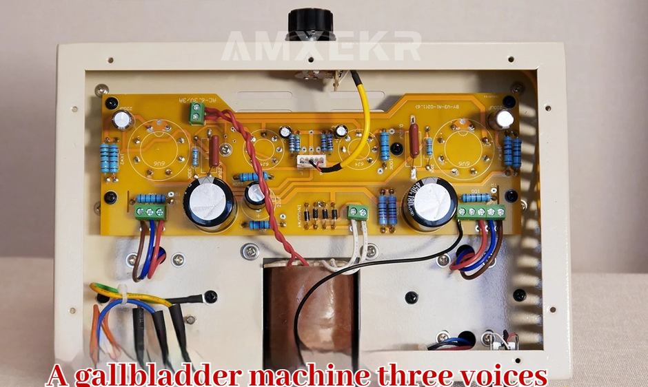NEW finished 6P6P/6V6 6P14/EL84 (USA 6197) single-ended tube  amplifier home compact audio amplifier