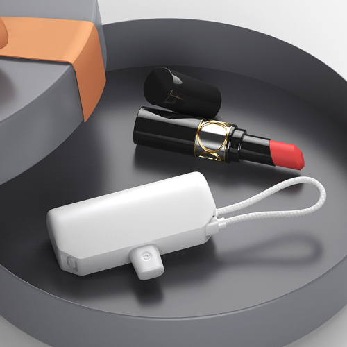 Portable Size Built-in Dual Cable Fast Charging Power Bank