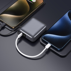 2025 PD 20W Mini-Case Power Bank with Built-in Type-C Cable