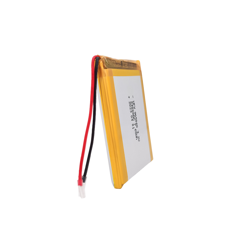 Lithium Ion Polymer Cell Factory Hot Selling Batteries for Medical Equipment UFX 905060 2400mAh 3.2V High Quality Rechargeable Battery