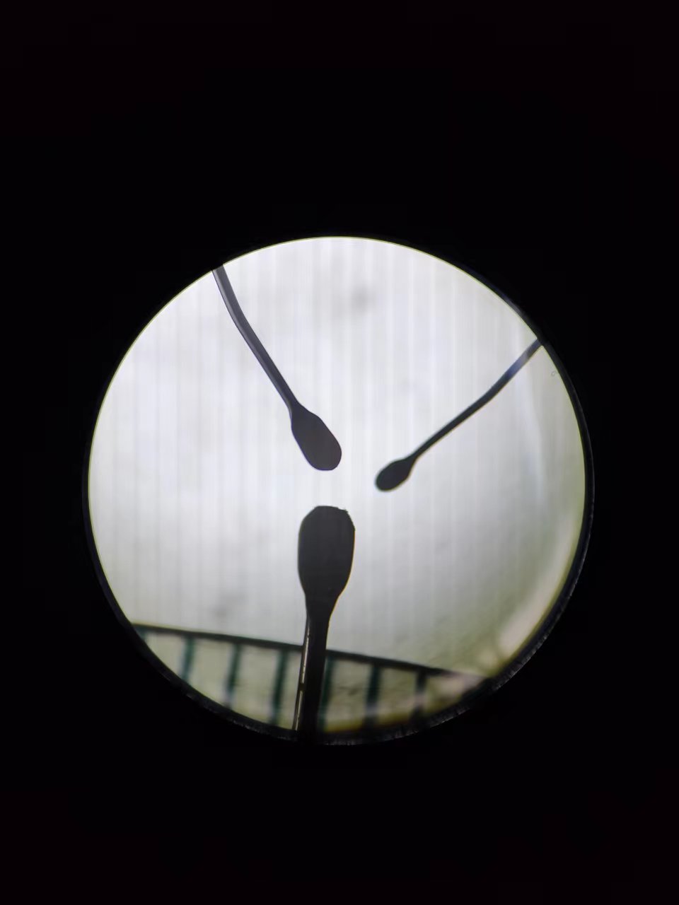 worm picker 【Glass holder】