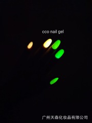 Glow in the Dark Nail Gel Polish LUMINOUS Neon Rainbow Colours Night Glowing