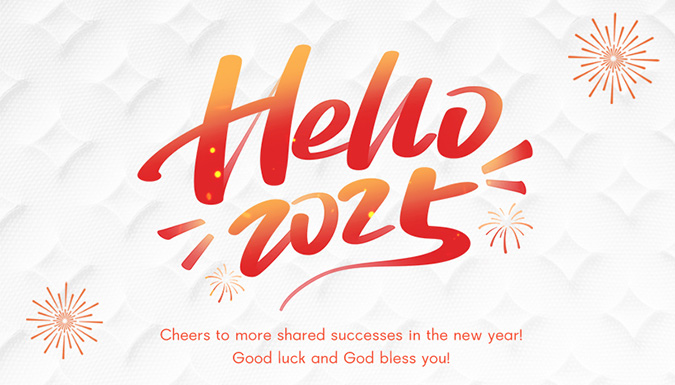Welcome the New Year with Zolytech: Cheers to 2025!