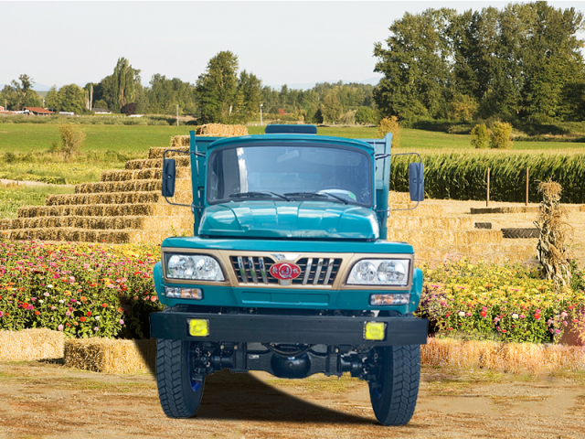 N5 4WD Flatbed Dump Truck