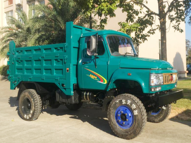 N20 4WD Flatbed Dump Truck