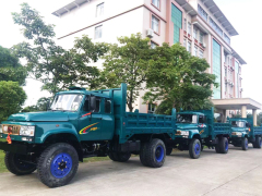 N25 4WD Flatbed Dump Truck