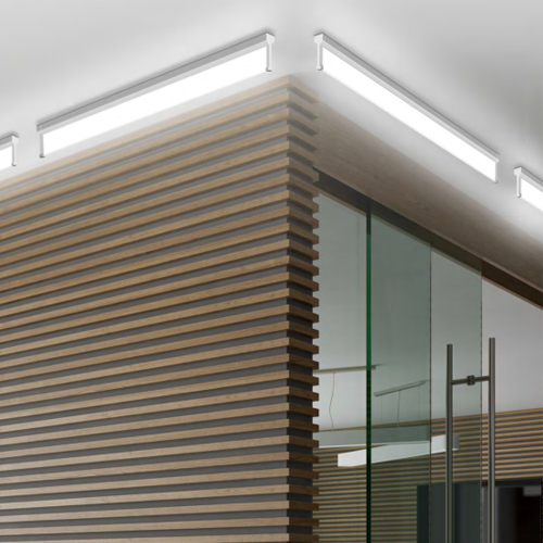 META Surface Linear Light