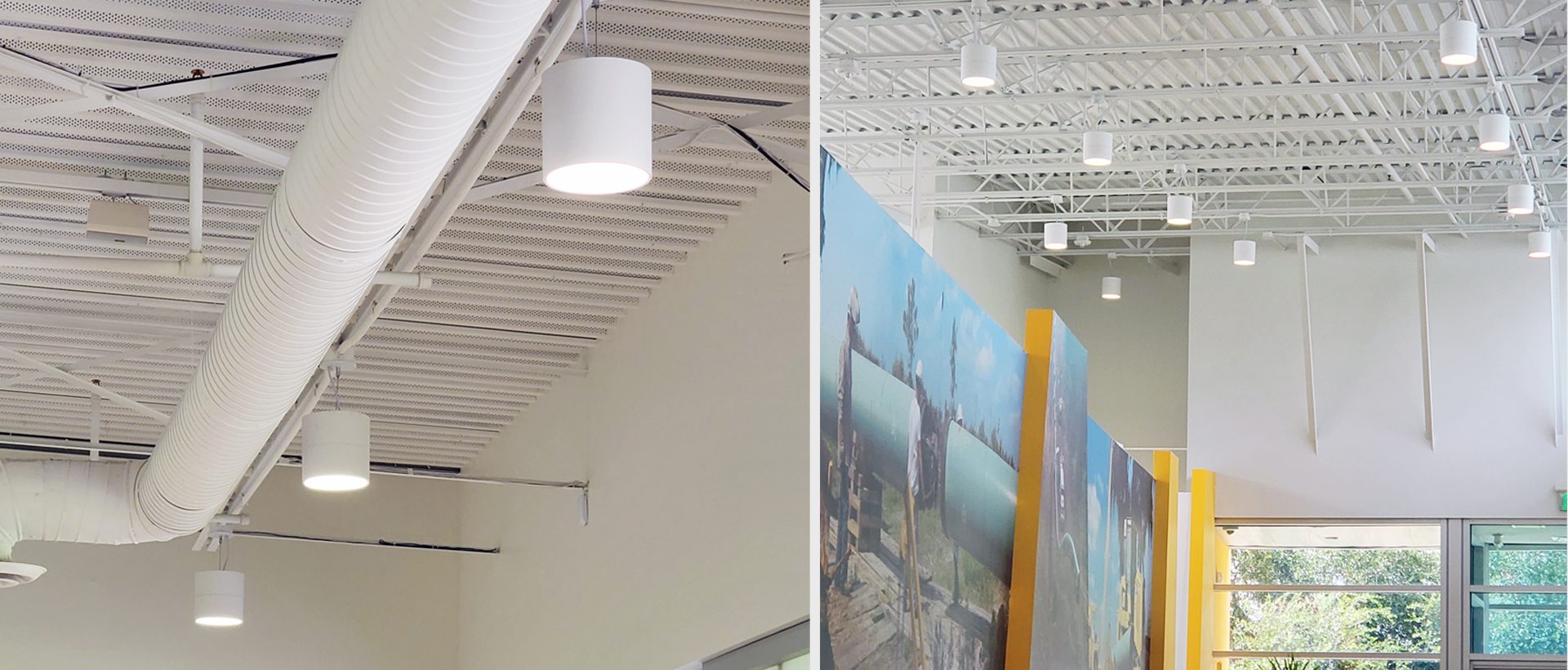 8inch LED Cylinder in open office