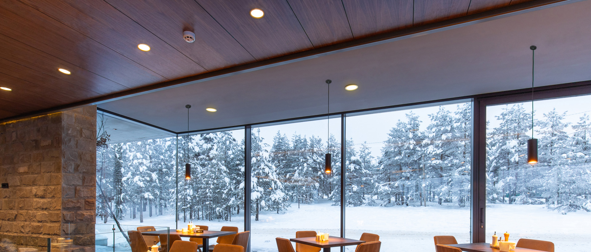 trimless led downlight in wood ceiling